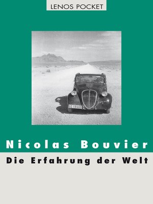 cover image of Die Erfahrung der Welt